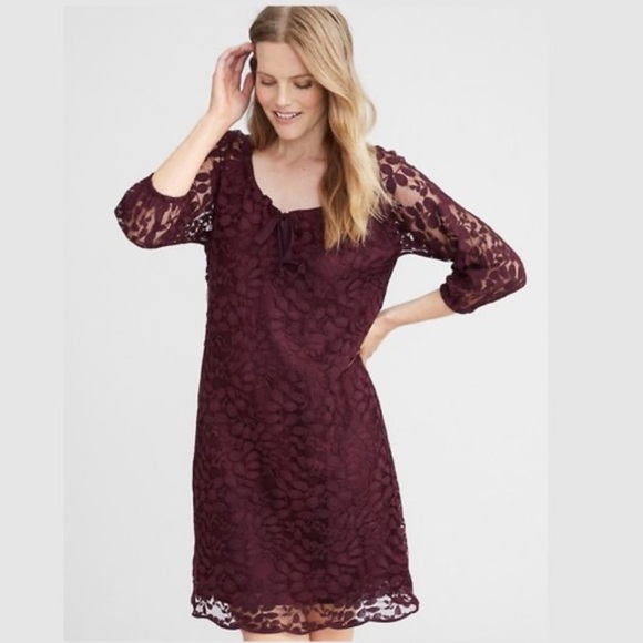 Garnet Hill Cranberry Boheme Easy Lace Overlay Midi Dress Size 16 - Picture 7 of 9